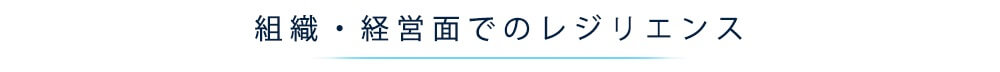 組織・経営面でのレジリエンス
